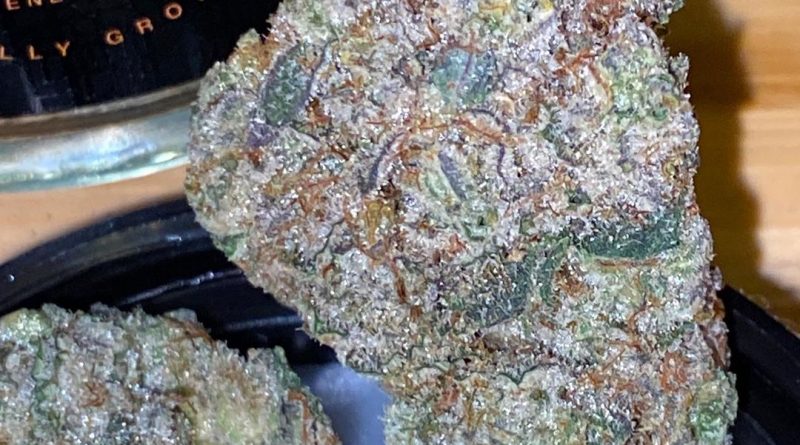 iceman by sf cultivators strain review by trunorcal420