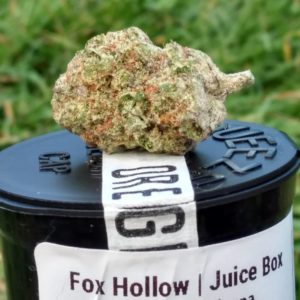 juice boxxx by fox hollow flora strain review by pdxstoneman