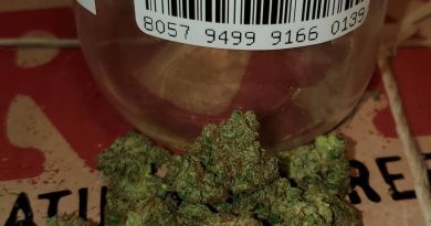 lamb's bread from curaleaf strain review by strain_games