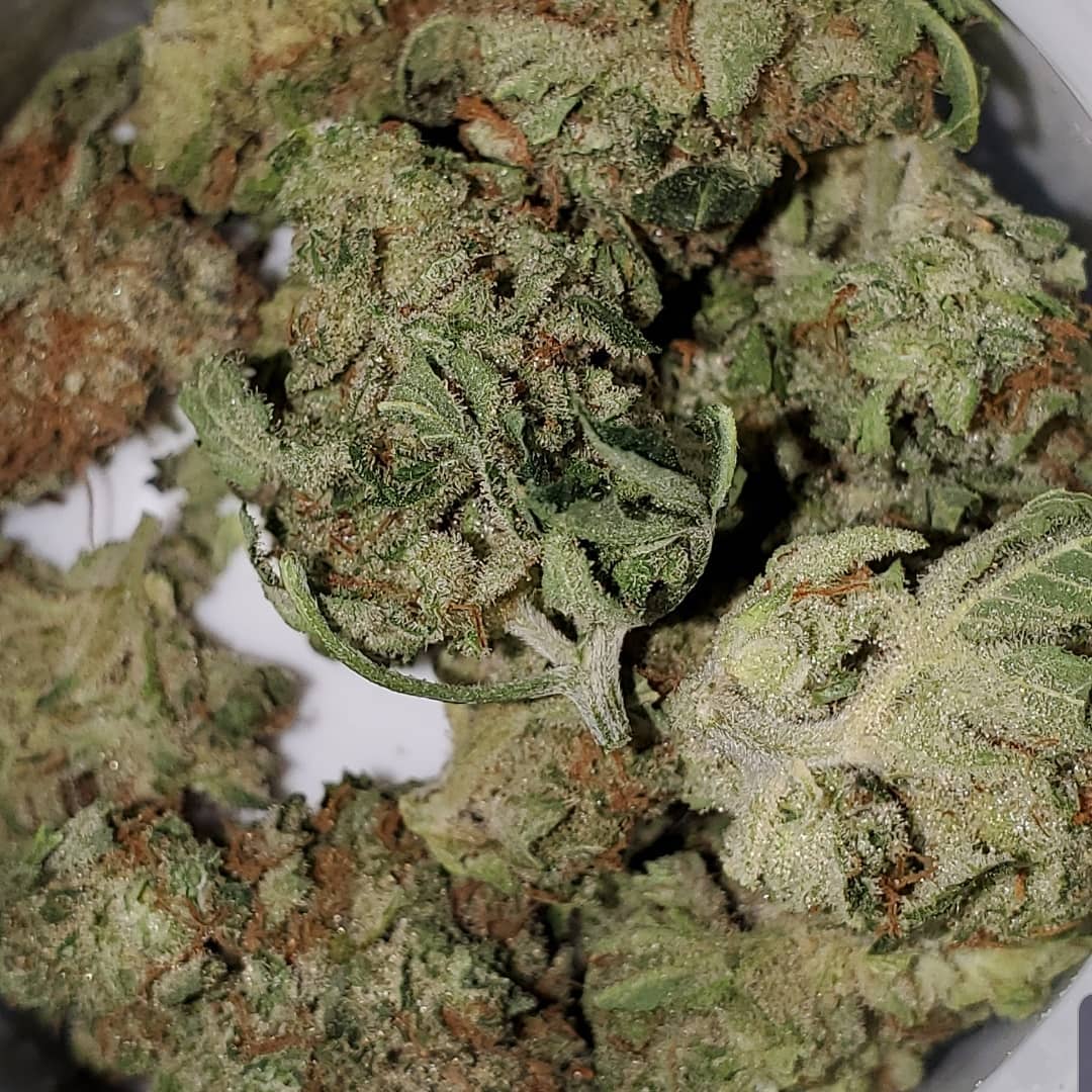 strain-review-lilac-diesel-from-curaleaf-the-highest-critic