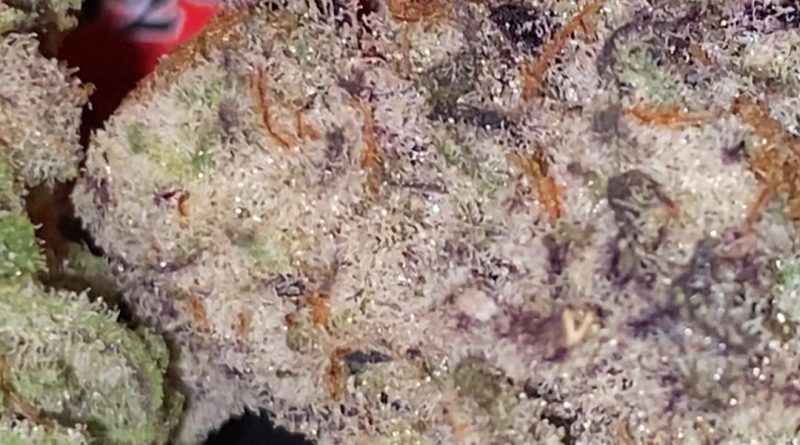 mac 1 by sweetwater pharms strain review by trunorcal420 3
