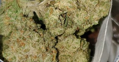 mango sapphire from liberty health sciences strain review by strain_games 2