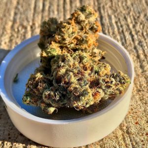 mcgloven by ozone strain review by cannacase.420 2