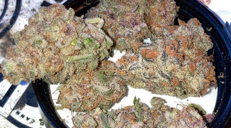 midnight snack by maven genetics strain review by sjweedreview