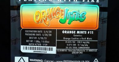 orange mints by jungle boys strain review by thefirescale