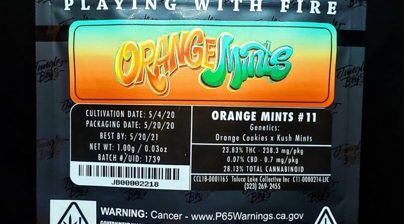 orange mints by jungle boys strain review by thefirescale