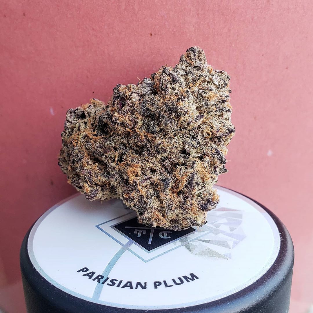 Strain Review Parisian Plum By Cream Of The Crop Gardens The Highest Critic