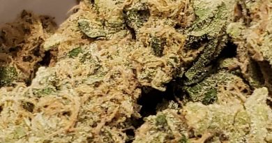 pineapple express from columbia care strain review by strain_games