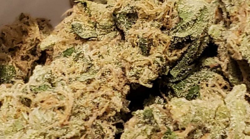 pineapple express from columbia care strain review by strain_games