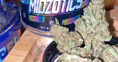 platinum by midzotics strain review by trunorcal420 3