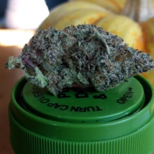 point break by surfr select strain review by pdxstoneman 2