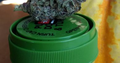 point break by surfr select strain review by pdxstoneman