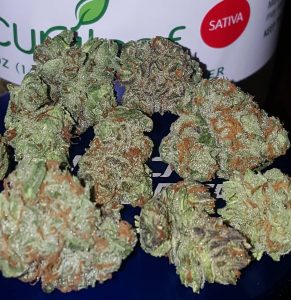 queen of soul from curaleaf strain review by strain_games 2