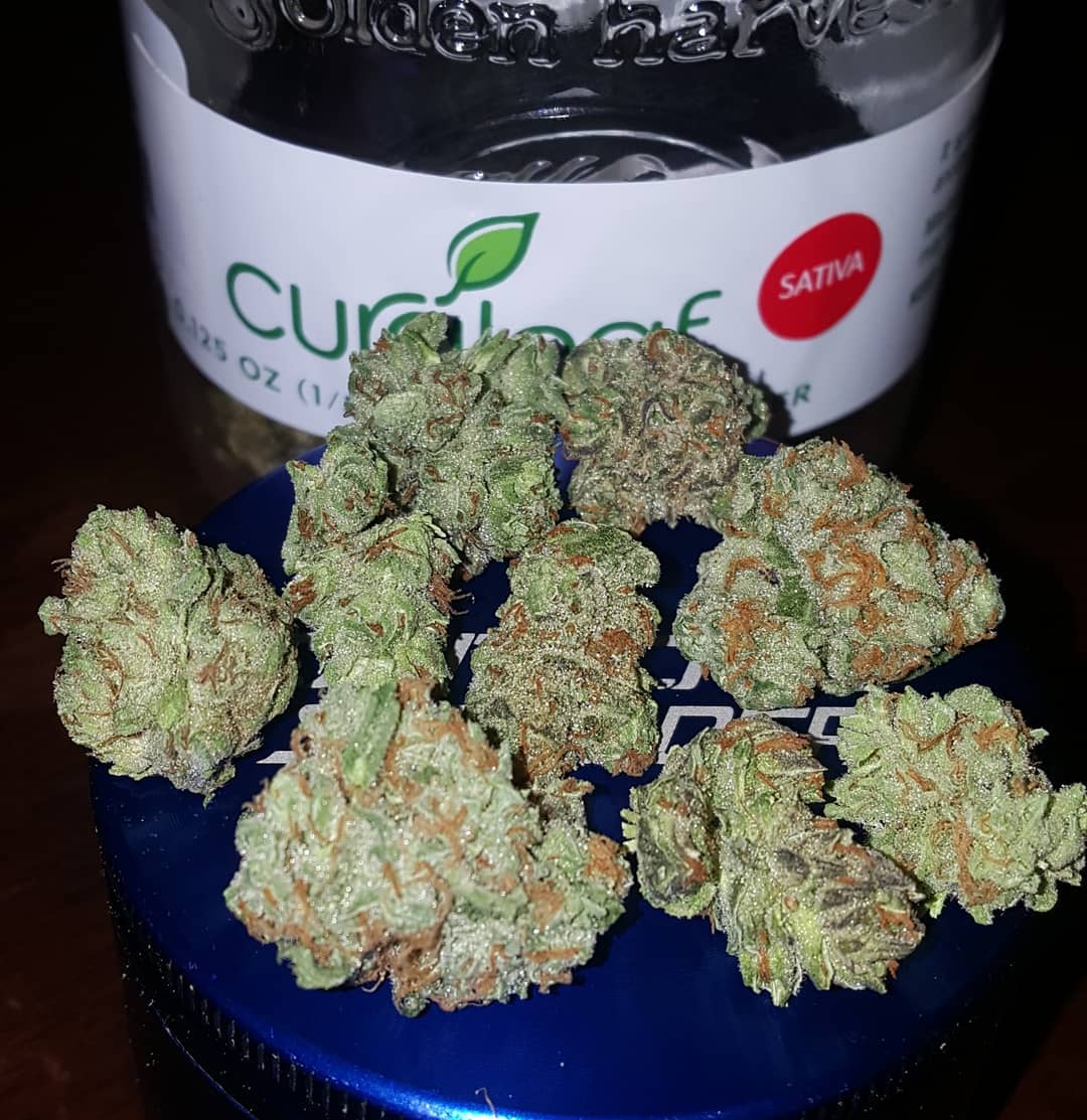 queen of soul from curaleaf strain review by strain_games