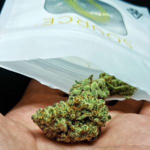 quest by source cannabis strain review by thefirescale 1