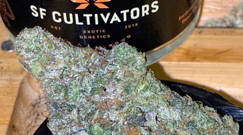 Strain Review: SunCake by SF Cultivators - The Highest Critic