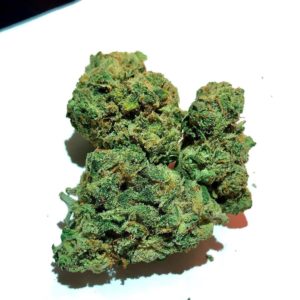 the great ha'tuh by pts pure strain review by cannacase.420