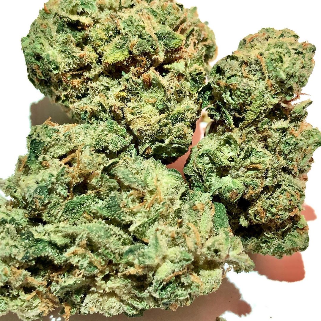 Strain Review The Great Ha tuh By PTS Pure The Highest Critic