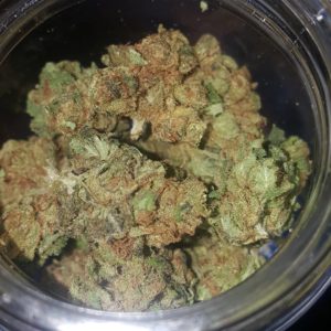 treasure island by papa's herb strain review by strain_games 2