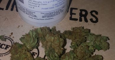 treasure island by papa's herb strain review by strain_games