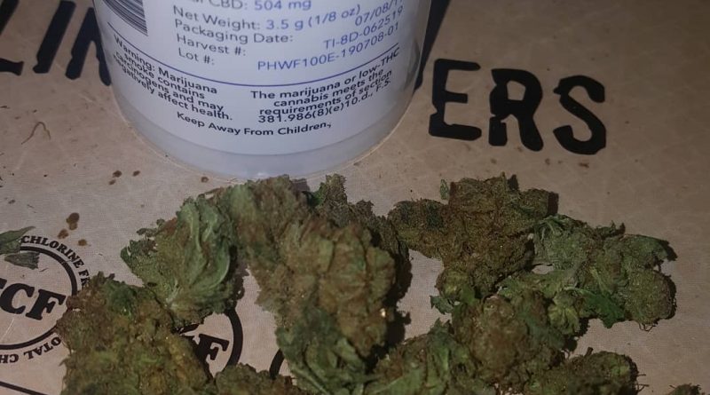 treasure island by papa's herb strain review by strain_games