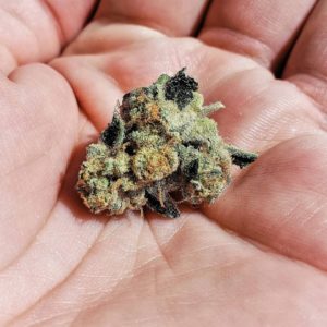 wedding cake by jungle boys strain review by thefirescale 2