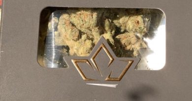 white rhino by cru cannabis strain review by sjweedreview