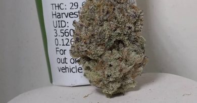 apple MAC by surfr select strain review by pdxstoneman