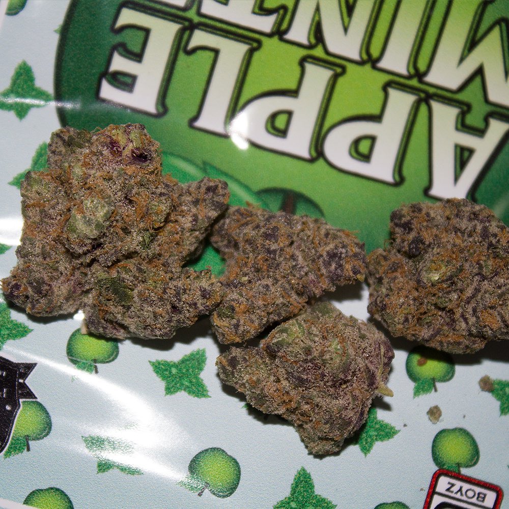 Strain Review Apple Mintz by Backpack Boyz The Highest Critic