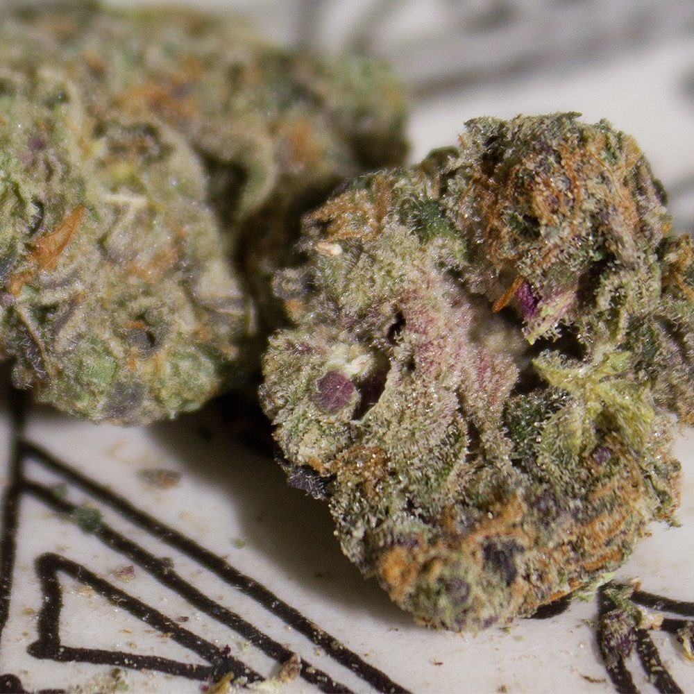 Strain Review Banana Gelato By Backpack Boyz The Highest Critic