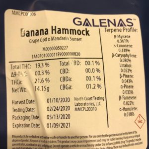 banana hammock by galenas strain review by greenbuckeyereviews 2