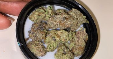 birthday face by the grower circle strain review by everythinghazee