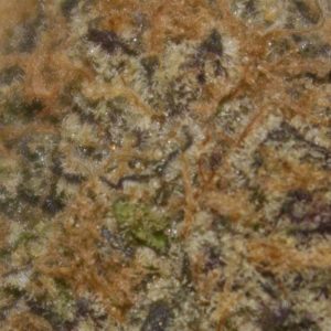 black cherry zkittlez by THE TENco strain review by bigwhiteash 2