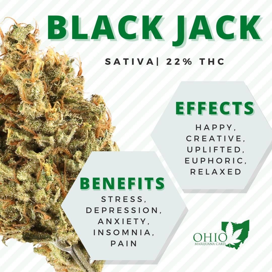 Black Jack Marijuana Strain Review