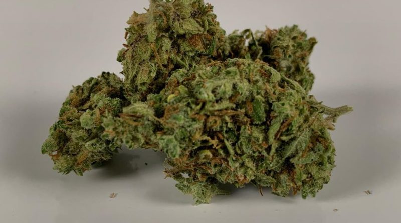 bruce banner #4 from green spirit strain review by trippietropical 2