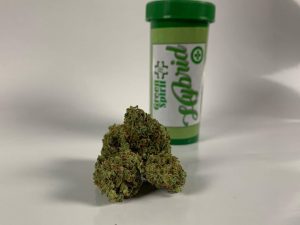 bruce banner #4 from green spirit strain review by trippietropical