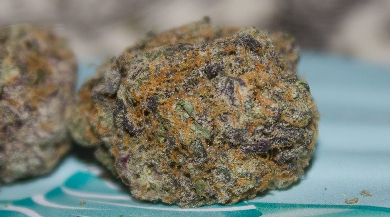 cake mintz by backpack boyz strain review by bigwhiteash