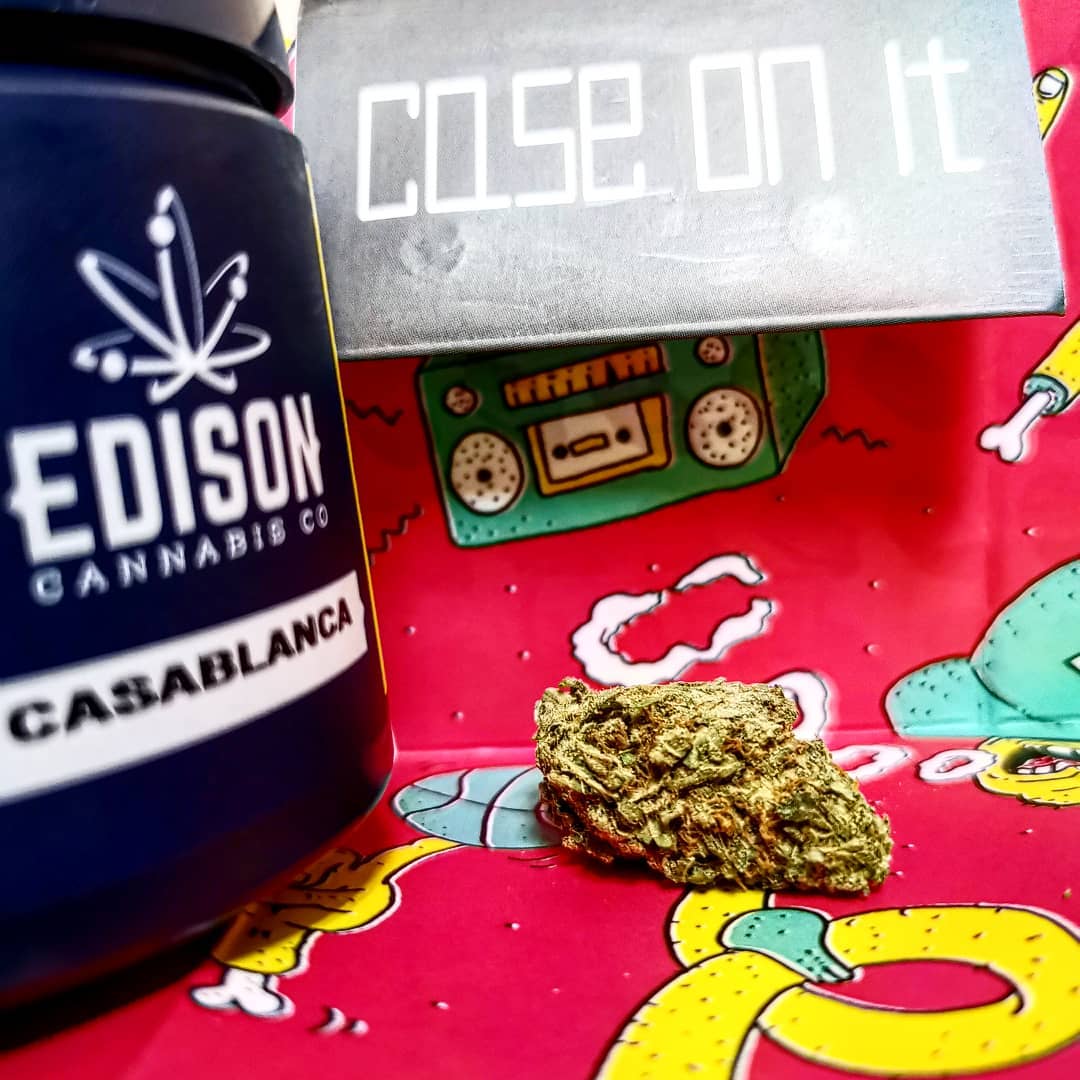 casablanca by edison cannabis co strain review by cannasteph