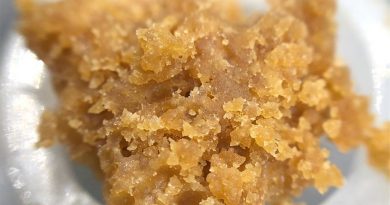 chem shiva wax by muv florida concentrate review by shanchyrls