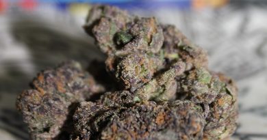 clifford by backpack boyz strain review by bigwhiteash