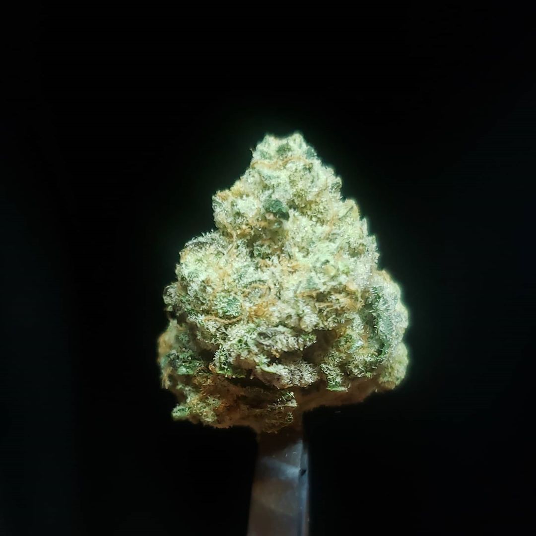 Strain Review: Cosmic Crisp by Alien Labs - The Highest Critic