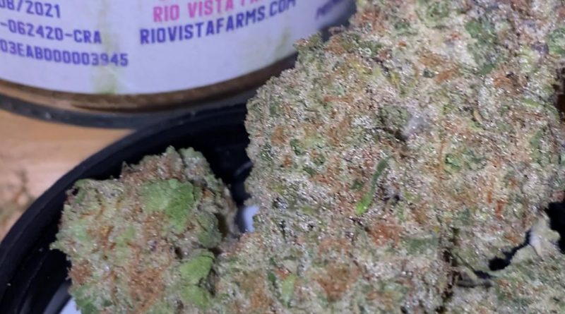 crashberry by rio vista farms strain review by trunorcal420 3