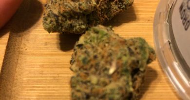 crushed berries by butterfly effect strain review by greenbuckeyereviews