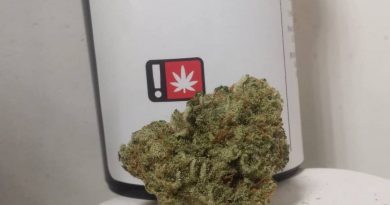 deadhead og by tao gardens strain review by pdxstoneman