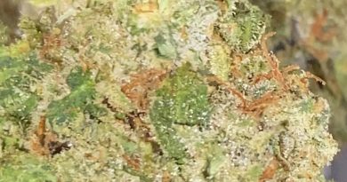 doc's og by pearl pharma strain review by trunorcal420 3