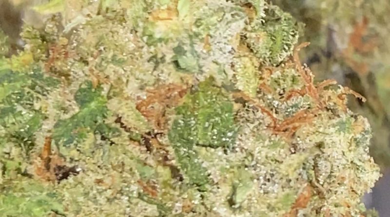 doc's og by pearl pharma strain review by trunorcal420 3