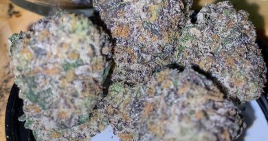 easton's cut by kings garden strain review by trunorcal420 3