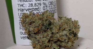ex-wife by surfr select strain review by pdxstoneman 2