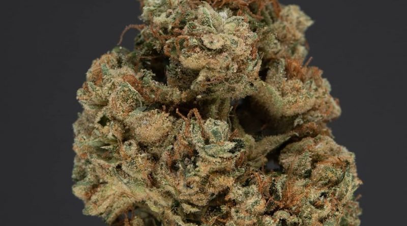 formula won by northern emeralds strain review by thefirescale 3