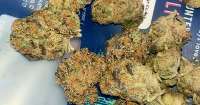 fudge cookies from deli by caliva strain review by sjweedreview